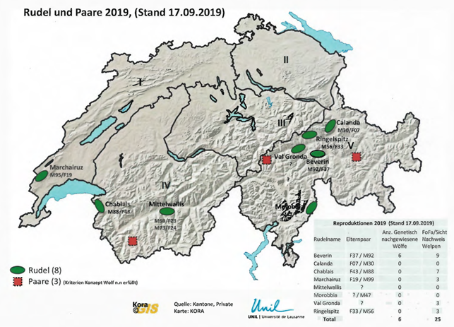 Wölfe im Kanton Graubünden – Die Lage im September 2019