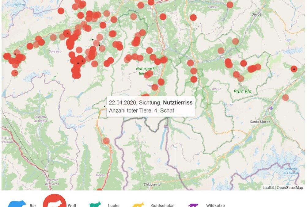Neues Informationssystem über Grossraubtiere in Graubünden