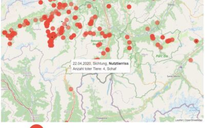Neues Informationssystem über Grossraubtiere in Graubünden