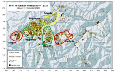 Jahresbericht 2020 – Wölfe im Kanton Graubünden